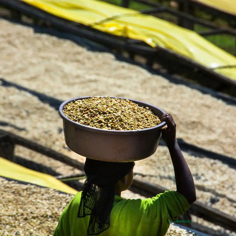 Day 3 – Welcome in Ruanda