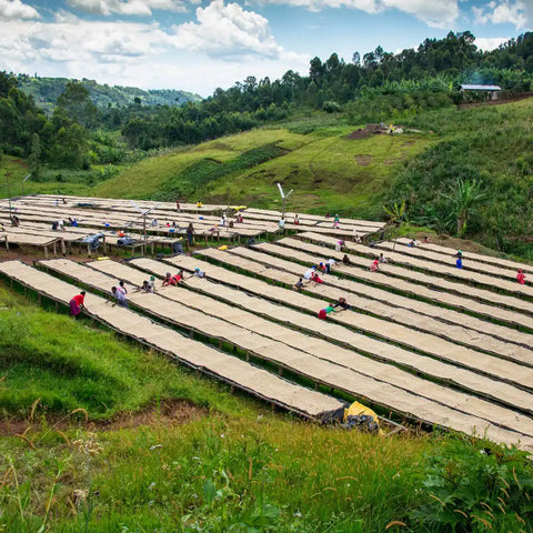 Day 6 - Welcome in Ruanda