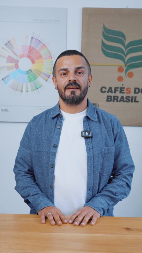 Kurzvideo zum Private Coffee Tasting – Erlebnis-Kaffeeverkostung privat buchen