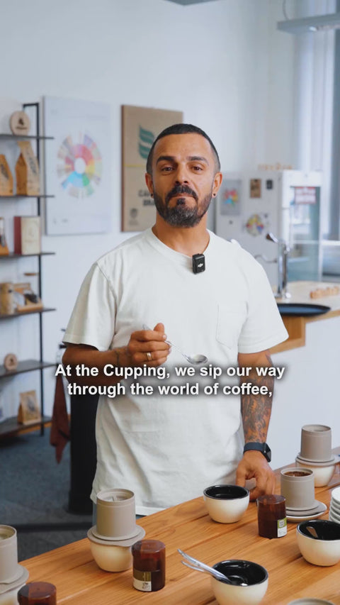 Professioneller Cupping‑Workshop von Coffeekult: Expertenführung durch Sensorik, Verkostung verschiedener Spezialitätenkaffees, Bewertung von Körper, Säure, Aroma und Nachgeschmack mittels standardisiertem Cupping‑Protokoll in geschulter Gruppe.